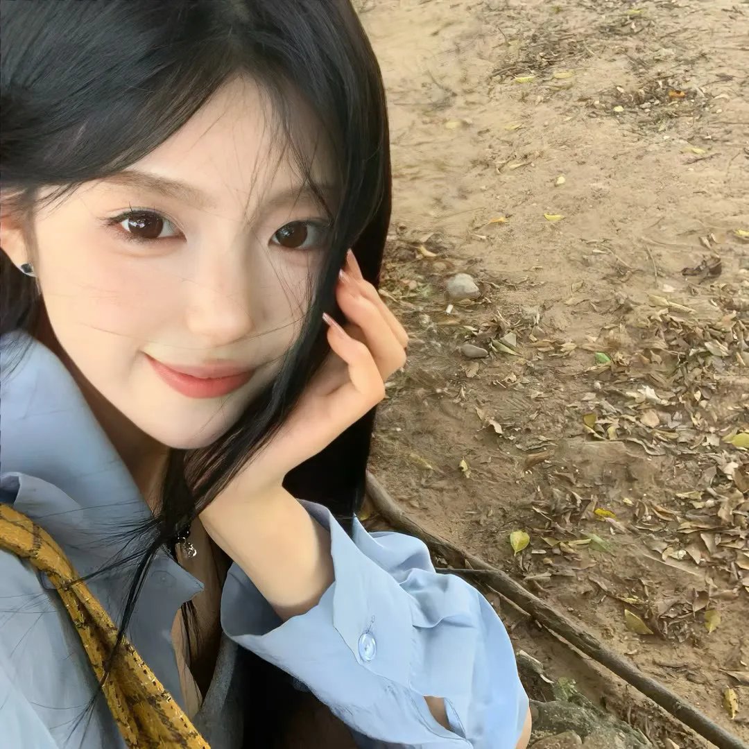 借口公司2